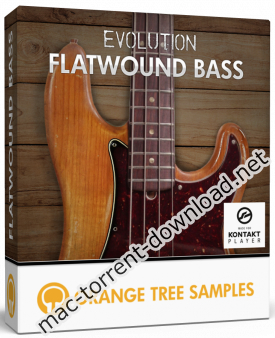 Orange Tree Samples Evolution Flatwound Bass