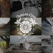 Vanessa and ivo wedding luts icon