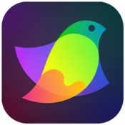 Amadine 1.0.0