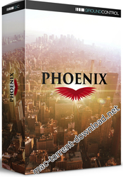 Phoenix: Warm-Toned LUTs for Drones