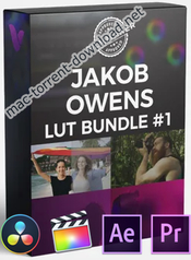 Vamify – Jakob Owens LUT Bundle 1 for Final Cut Pro X, Premiere Pro, After Effects etc (Win/Mac)