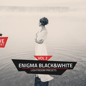 Creativemarket enigma bandw lightroom presets vol 2 347222 icon