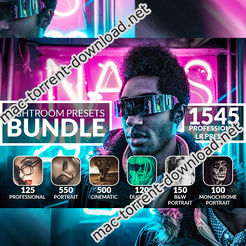 Inkydeals 1500 professional lightroom presets bundle icon
