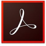 Adobe Acrobat Pro DC v19.021.20058