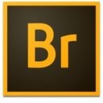 Adobe Bridge 2020 v10.0.1