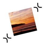 ExactScan Pro 20.4.27