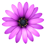 TextMate 2.0.15