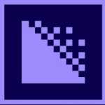 Adobe Media Encoder 2020 v14.1