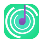 Hearing 1.0