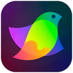 Amadine 1.4.2 fixed