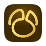 Navicat Premium 17.3.1