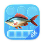 Aquarium 4K – Live Wallpaper 1.1.1