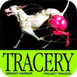 Aescripts – Tracery v1.1